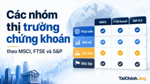Các nhóm thị trường chứng khoán theo MSCI FTSE và S&P